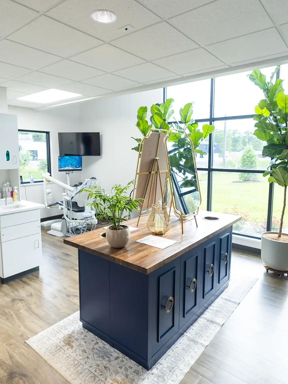 Modern dental consultation room with natural light, plants, and navy island desk at Flint practice.